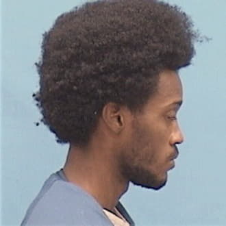 GOINS, DEONTA, Cook County  IL