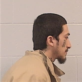 ALVARADO, MARTIN, Cook County  IL