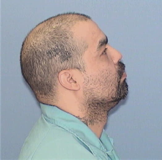 ARVIZO, MARCUS, Kane County  IL