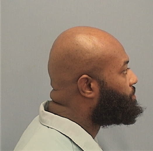 ANDERSON, JACQUES, Cook County  IL