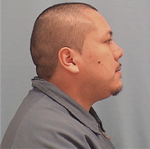 GUERRERO, RICARDO, Will County  IL