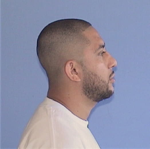 ALCARAZ, RICARDO, Cook County  IL