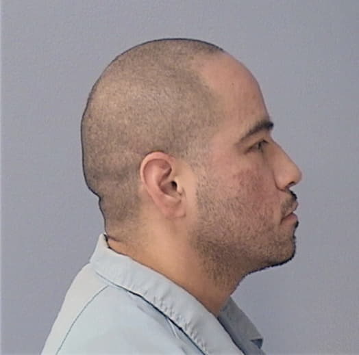 BELTRAN, ANDRES, Kane County  IL