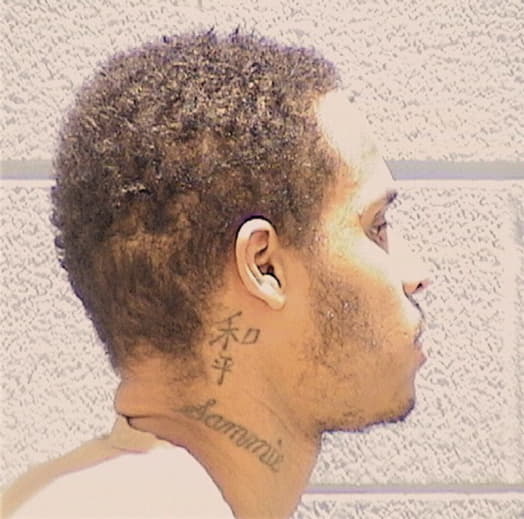 STAFF, MARTAVION, Winnebago County  IL