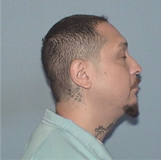 BOGMENKO, MICHAEL A., Dupage County  IL