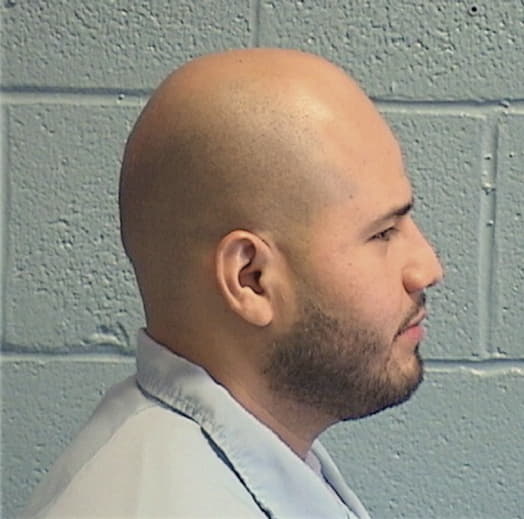 DELGADO, ENRIQUE, Cook County  IL