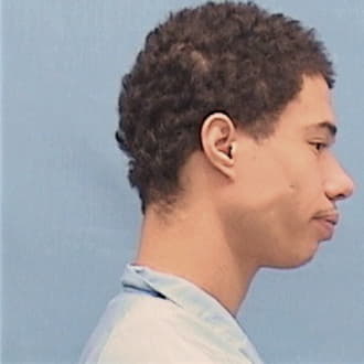 ROBINSON, BRICE C., Champaign County  IL