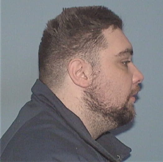 PESOVIC, SLOBODAN, Cook County  IL