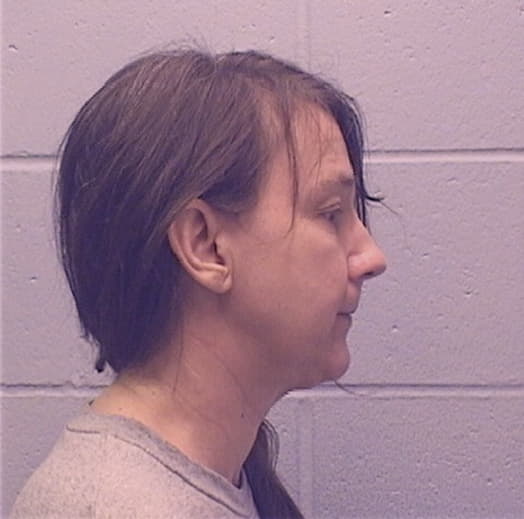 NELSON, PATRICIA A., Winnebago County  IL