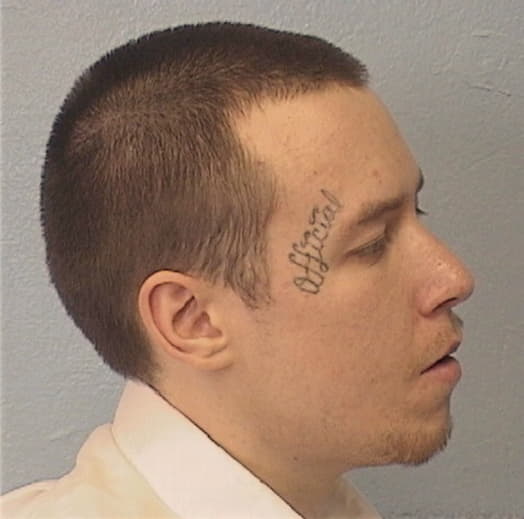 FULKS, RYAN T., Madison County  IL