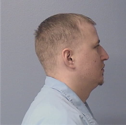 GREEN, MICHAEL L., Fulton County  IL