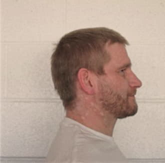 STOLTE, WILLIAM, Pike County  IL
