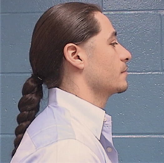 RAMIREZ, CHRISTIAN, Cook County  IL