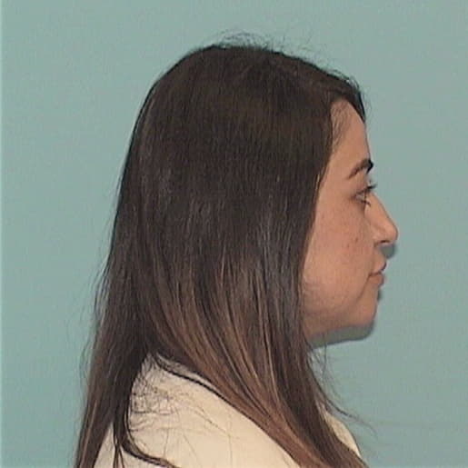 BIBIAN, LYNDA K., Will County  IL