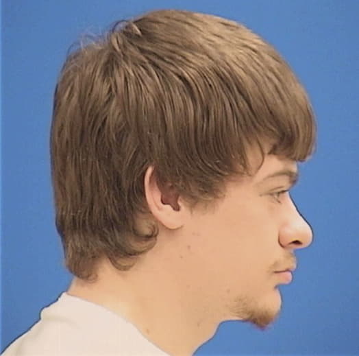 DUTZ, MITCHELL A., Fulton County  IL