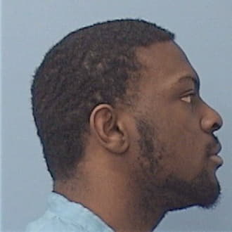 ANDERSON, MICHAEL, Cook County  IL