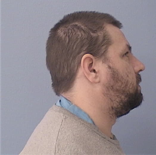 HEITZMAN, NICHOLAS, Sangamon County  IL