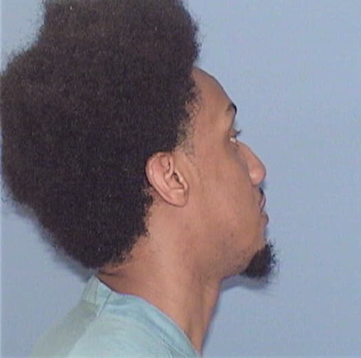 HENRY, LONNIE O., Cook County  IL