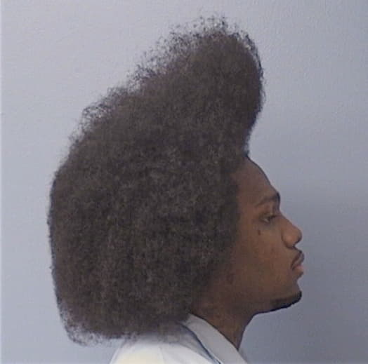 HOUSTON, VIRGIL M., Cook County  IL