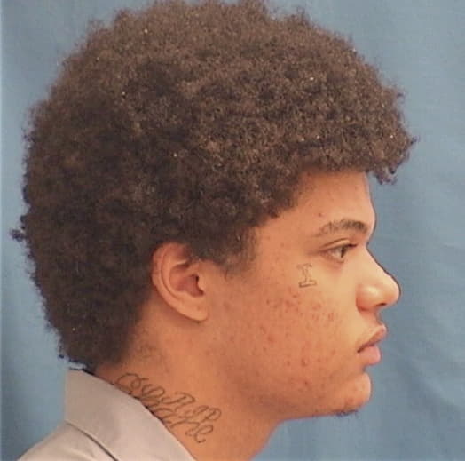 BLOMGREN, DEMETRIUS, Winnebago County  IL