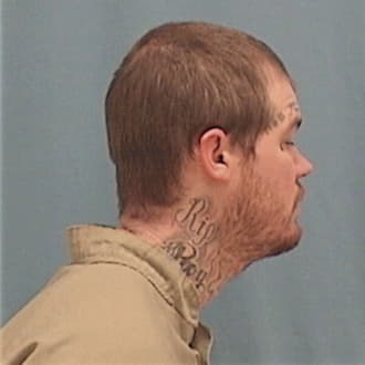 ROUSE, MICHAEL, Vermilion County  IL