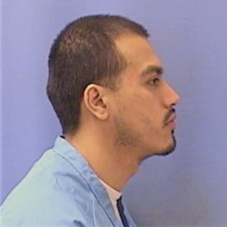 NARES, MICHAEL, Cook County  IL
