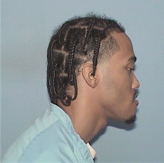 WILLIS, TERRANCE, Cook County  IL