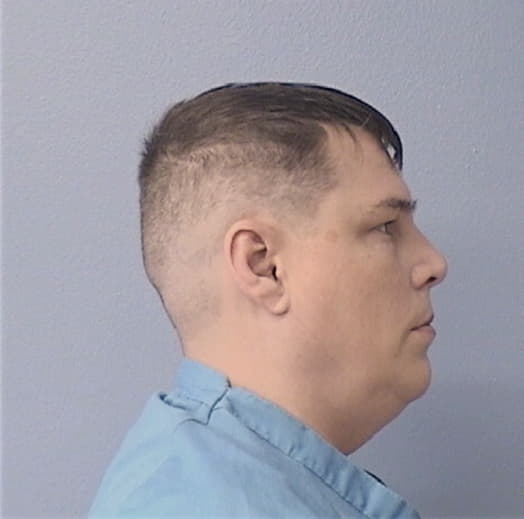 HOMANN, GERALD E., Lasalle County  IL