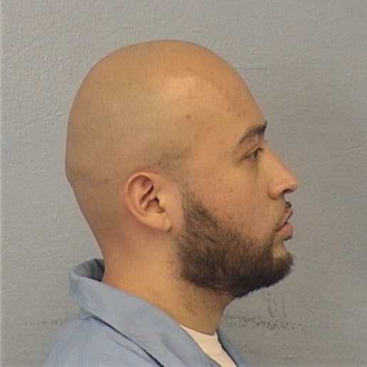 DIAZ, ERIC, Cook County  IL
