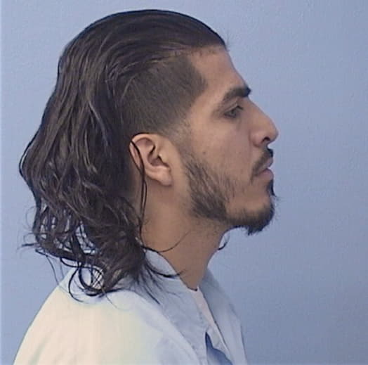 GOMEZ, BRANDANN M., Kane County  IL