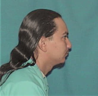 RAMIREZ, DARWIN, Cook County  IL