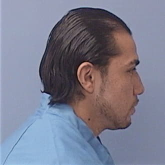 REYES, SANJAUN, Will County  IL