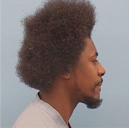 JOHNSON, LADON, Kane County  IL