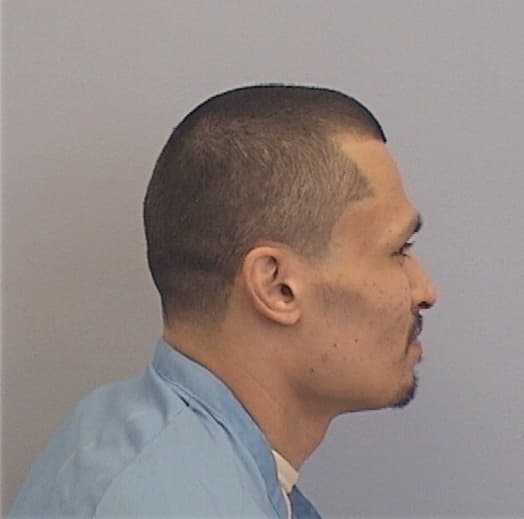 CALVILLO, DAVID, Cook County  IL
