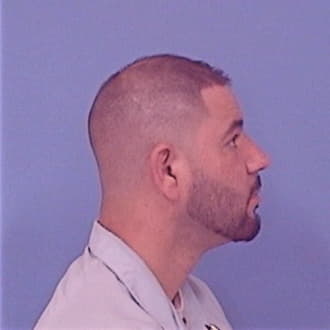 BRIGGS, MICHAEL L., Henry County  IL