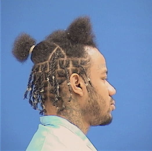 HODGES, BERNARD A., Lake County  IL