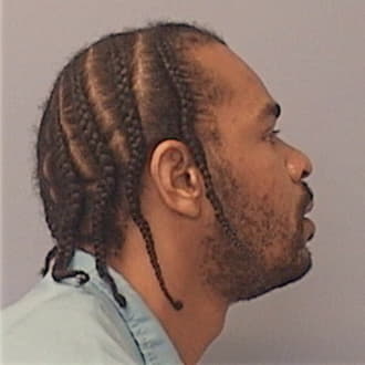ADAMS, MICHAEL, Cook County  IL