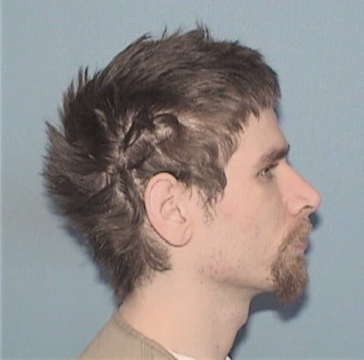FORD, ANDREW L., Lee County  IL