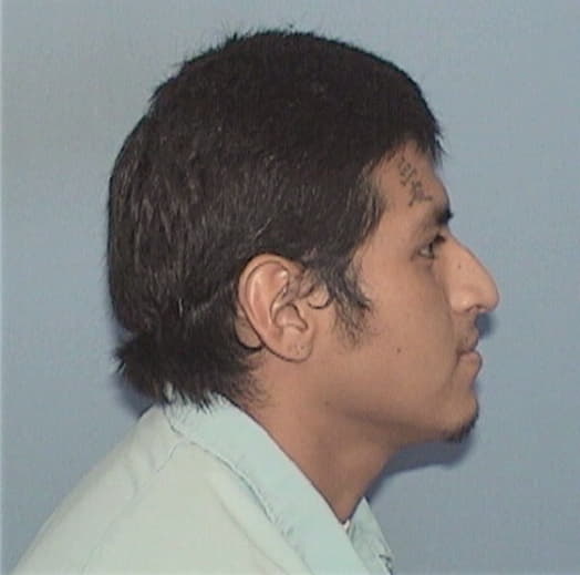 SERNAS-JACOBO, APOLINAR, Cook County  IL