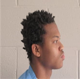 JOHNSON, MALIK T., Sangamon County  IL