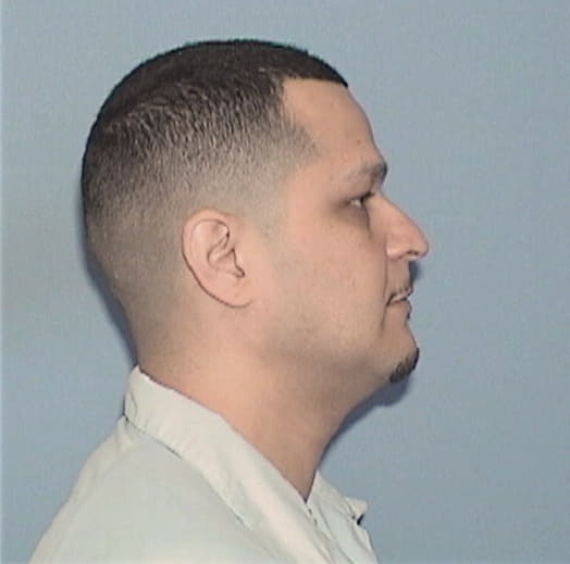 IBARRA, CELSO, Cook County  IL