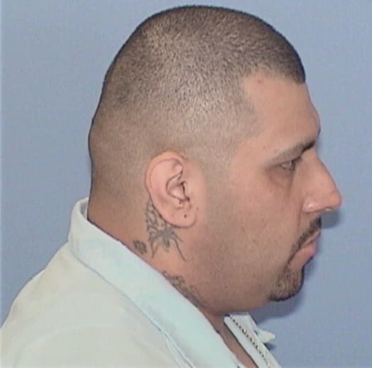 LUGO, ALAN, Cook County  IL