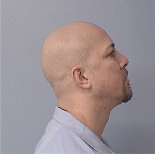 REYES, MICHAEL J., Saline County  IL
