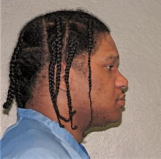 ELLIS, RONDALE L., Will County  IL