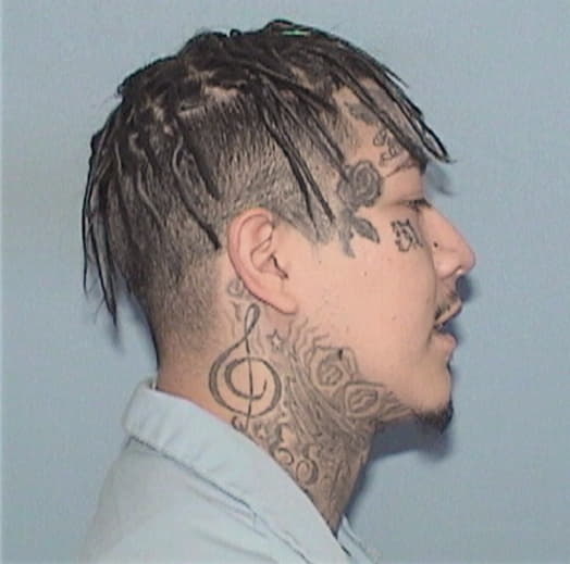 SALINAS-CORONA, VICTOR, Lake County  IL