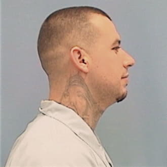 AREVALO, MANUEL, Will County  IL