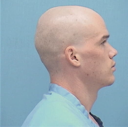 STOUT, TIMOTHY J., Lake County  IL