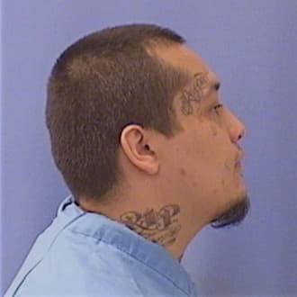 OCHOA, DAVID, Cook County  IL