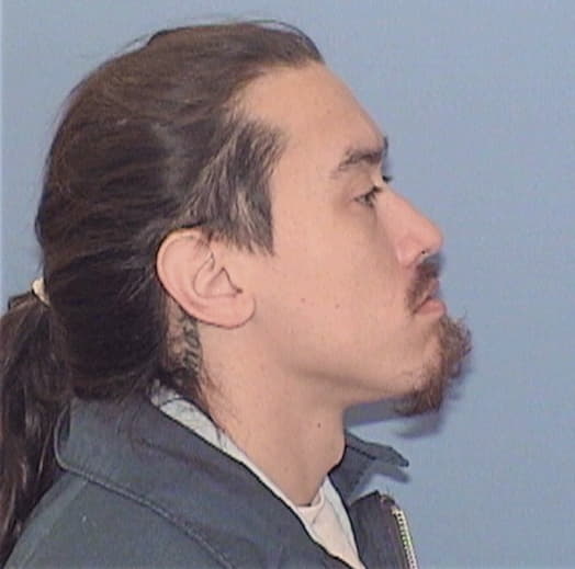WOELFEL, ZACHARY J., Cook County  IL