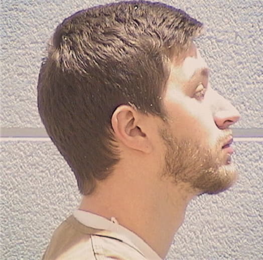 MAPES, MATTHEW T., Lake County  IL